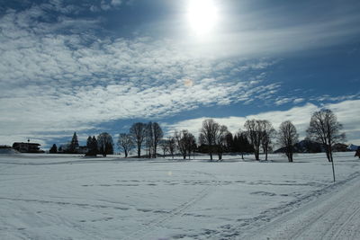 Trees on snow covered field against sky