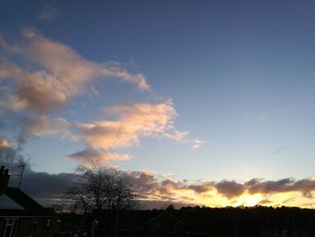 Low angle view of silhouette trees against sky