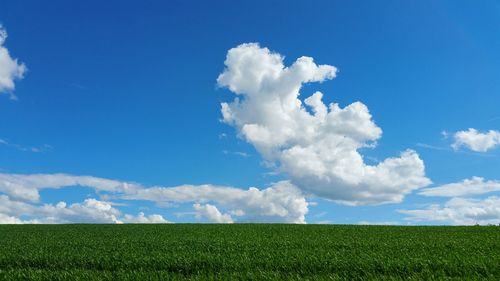 Scenic view of field against blue sky