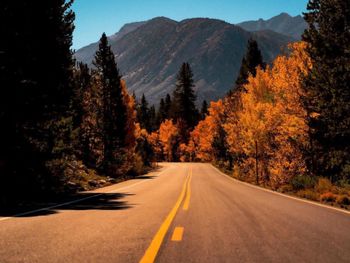 Road amidst trees against sky