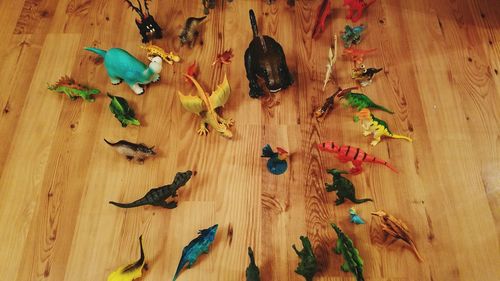 High angle view of birds on wood