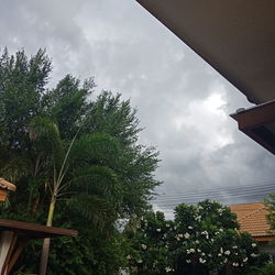 Low angle view of trees and building against sky