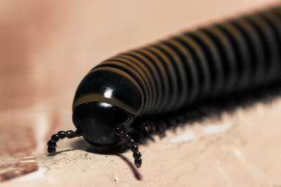 High angle view of camera on table