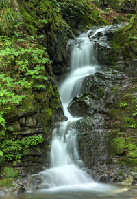 Scenic view of waterfall in forest