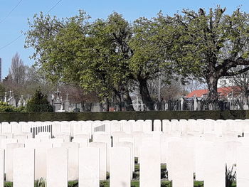 View of cemetery against trees