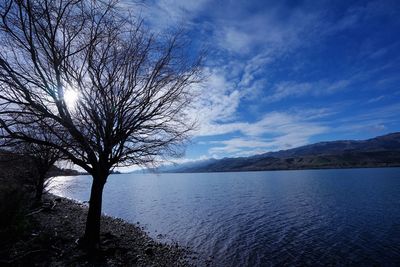 Bare tree by lake against sky