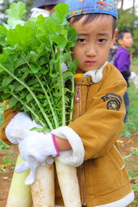 Portrait of cute boy holding outdoors