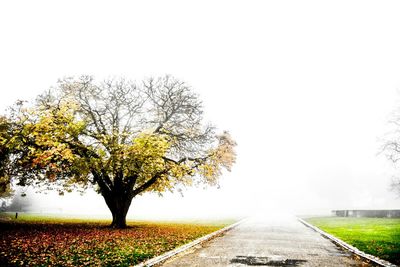 Road passing through field