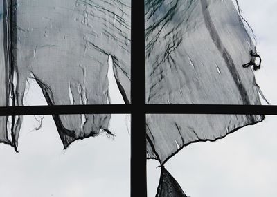 Low angle view of tree against sky