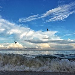 Seagulls flying over beach against sky