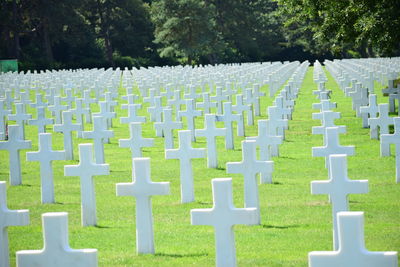 View of cemetery