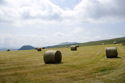 Hay bales in field