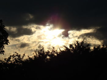 Low angle view of trees against cloudy sky