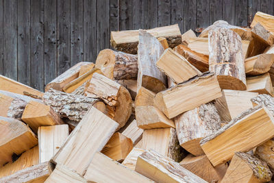 High angle view of wooden logs in forest