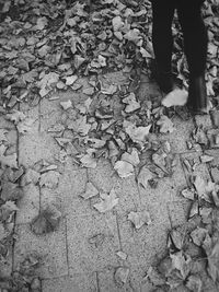 Low section of woman standing on tiled floor