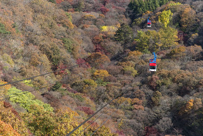 Scenic view of cable cars amidst trees during autumn