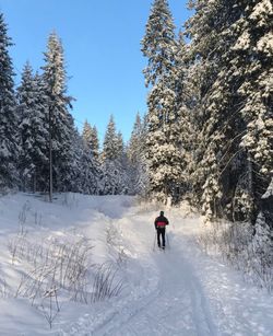 Man skiing on snow field during winter