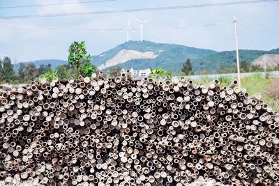 Stack of tree on mountain against sky