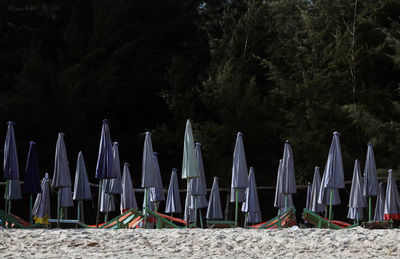 Panoramic view of tent on beach against trees