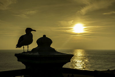 Silhouette bird perching on sea against sky during sunset
