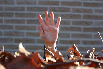 Close-up of hand