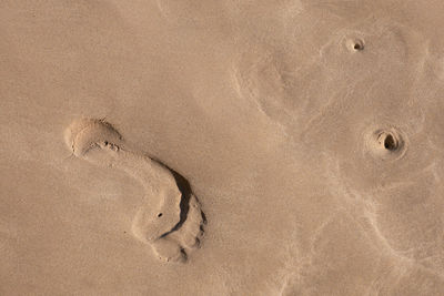 High angle view of footprints on beach