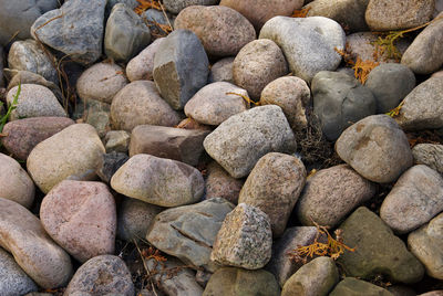 Stones near the sea