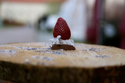 Surface level of leaf