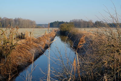 Scenic view of lake against clear sky