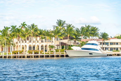 Scenic view of palm trees by sea against sky