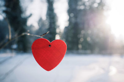 Close-up of heart shape with snow on tree