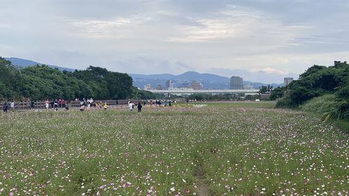 People on field against sky