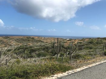 Scenic view of landscape against sky