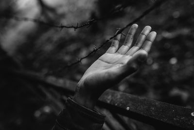 Cropped hand by barbed wire