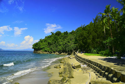 Trees on beach against blue sky