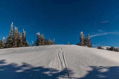 Snow covered road amidst trees against blue sky