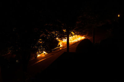 Silhouette trees by illuminated street at night