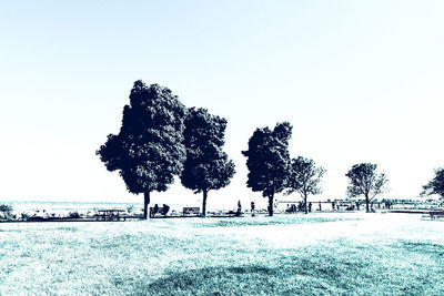 Tree on field against clear sky