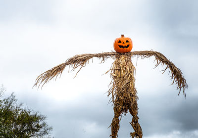 Low angle view of pumpkin on tree against sky