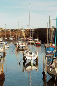 Sailboats moored on harbor against sky