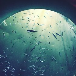 Full frame shot of white background