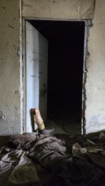 wall
