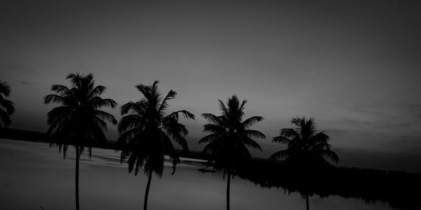 Silhouette palm trees by swimming pool against sky during sunset