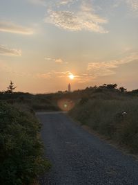 Road amidst plants against sky during sunset