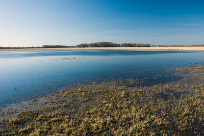 Scenic view of water on the meadow against sky