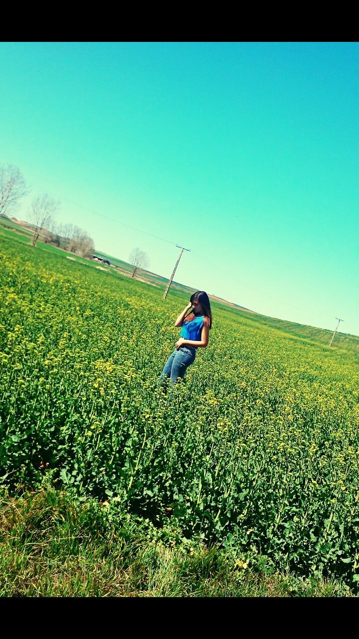 blue, clear sky, transfer print, copy space, transportation, auto post production filter, field, grass, flying, landscape, mid-air, mode of transport, green color, nature, tranquility, day, beauty in nature, tranquil scene, outdoors, extreme sports