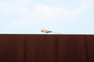 Low angle view of bird perching on cable against sky