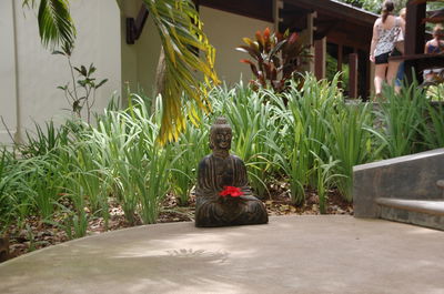 Woman sitting on plant