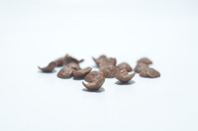 Close-up of coffee beans against white background