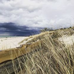 Close-up of sand on beach against sky